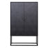 Laxon Black 2 Door Cabinet